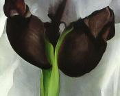 乔治亚 奥基夫 : -Unknown